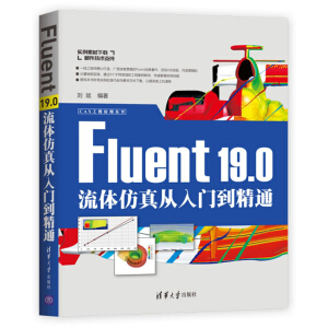 Fluent 19.0wT(mn)ͨ