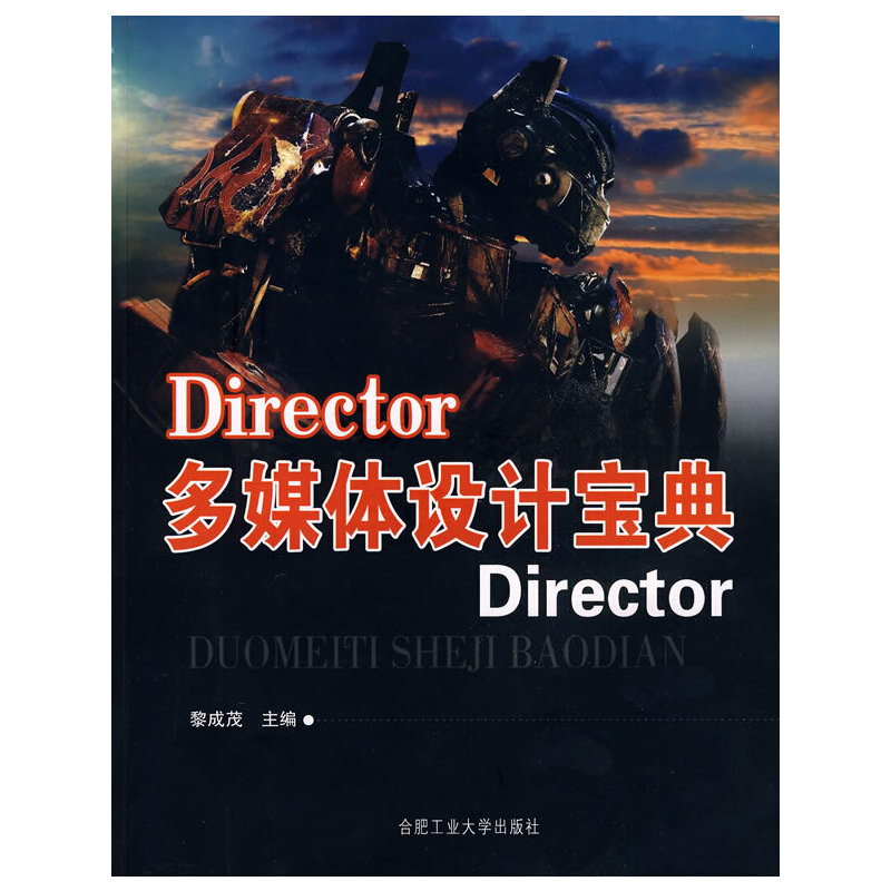 DirectorýwOӋ䣨P